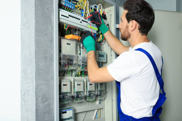 Best Electrical Troubleshooting Services  in Eulyptus Hills, CA